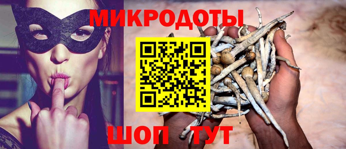 Галлюциногенные грибы MAGIC MUSHROOMS  наркотики  Сунжа  Вход с VPN 